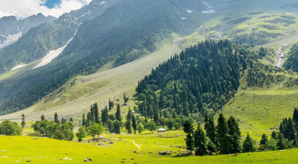 Honeymoon Kashmir Trip